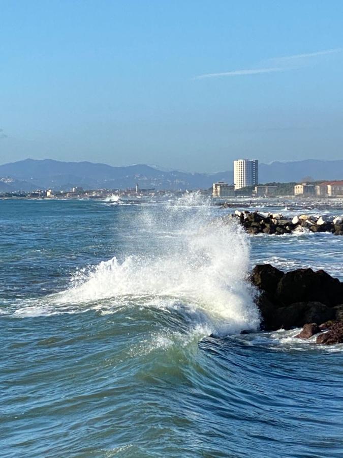 Ancora Bilocale Villa Marina di Massa Exteriör bild