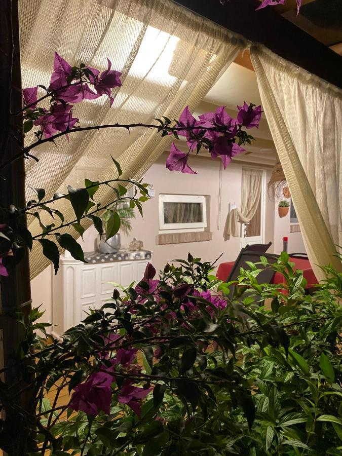 Ancora Bilocale Villa Marina di Massa Exteriör bild