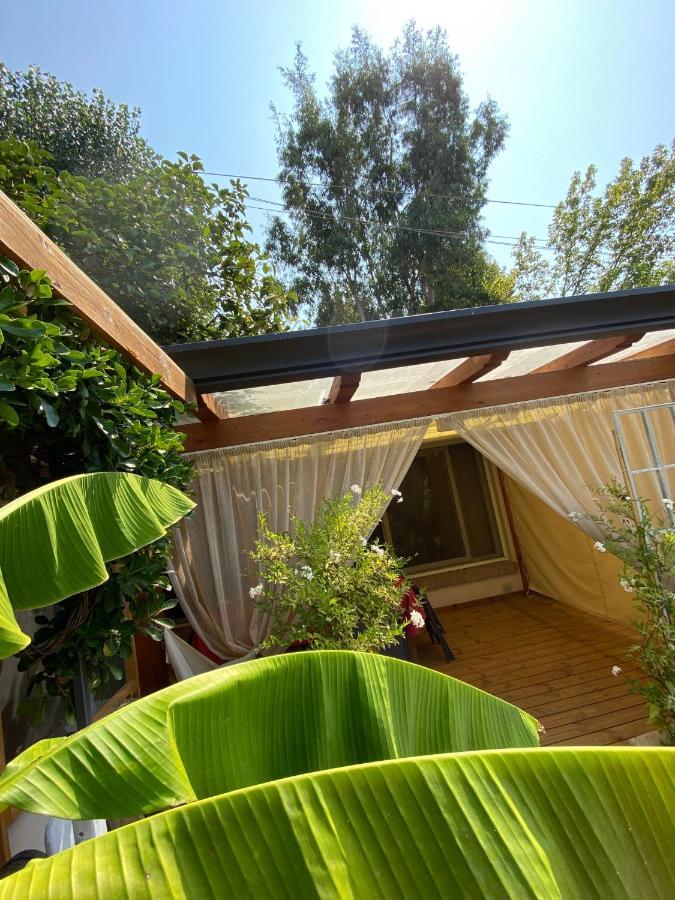 Ancora Bilocale Villa Marina di Massa Exteriör bild