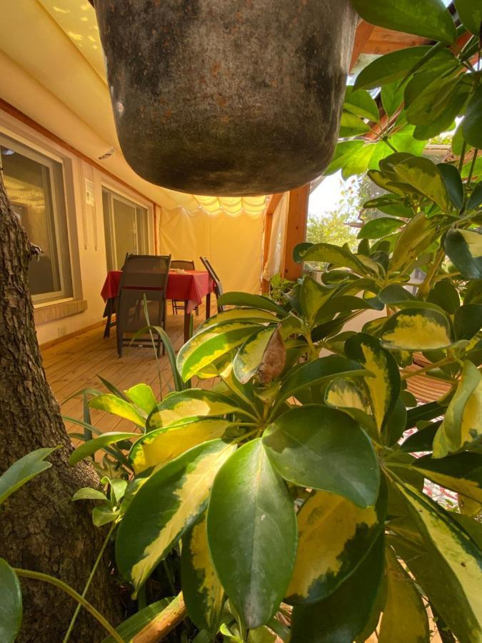 Ancora Bilocale Villa Marina di Massa Exteriör bild