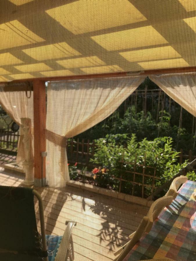 Ancora Bilocale Villa Marina di Massa Exteriör bild