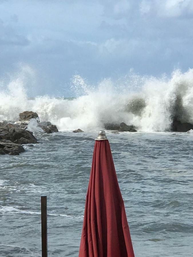 Ancora Bilocale Villa Marina di Massa Exteriör bild