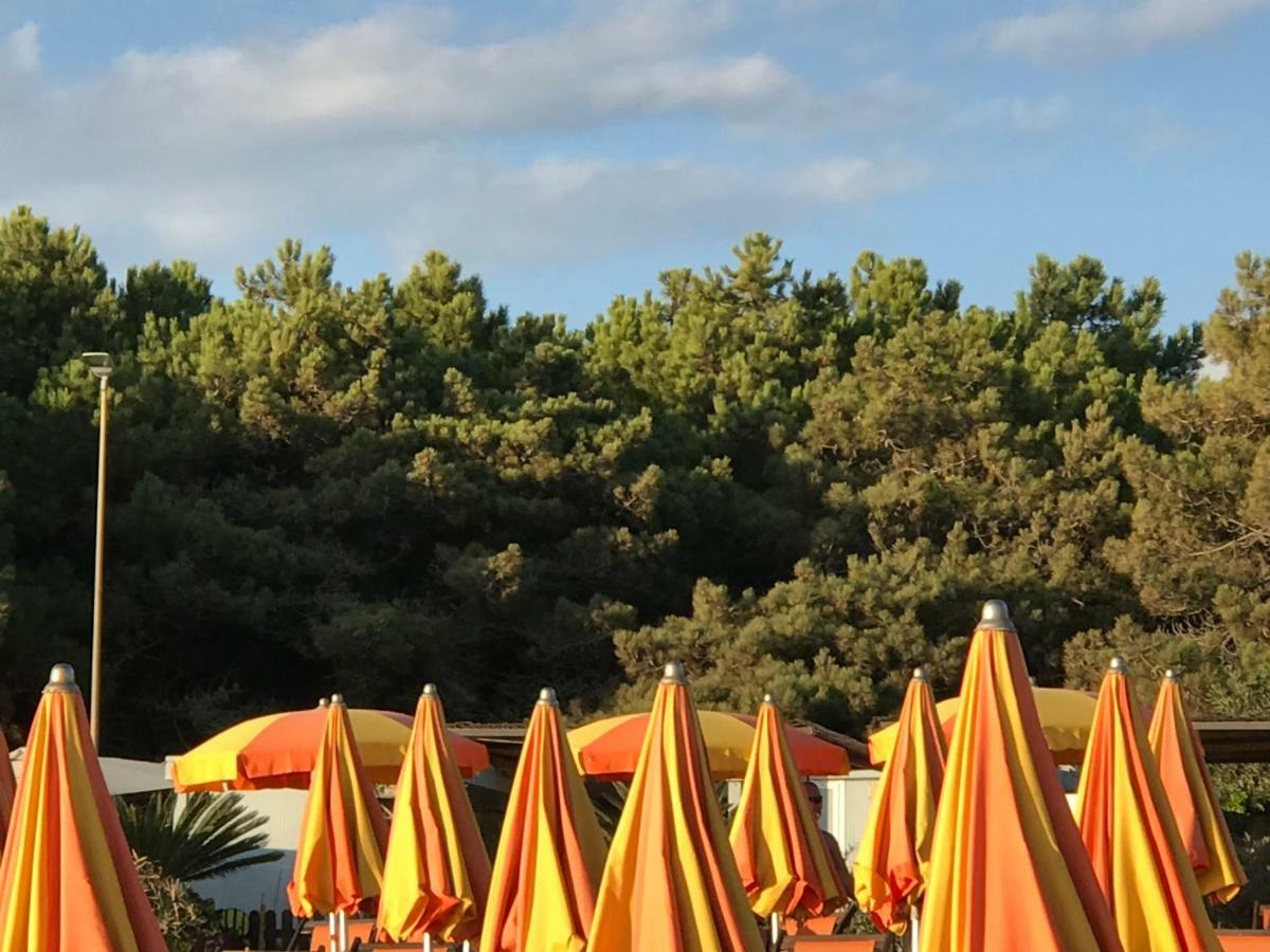 Ancora Bilocale Villa Marina di Massa Exteriör bild